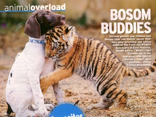 Illustration for article titled This Week In Tabloids: Kendall Is Having Scott's Baby, Isn't Sorry